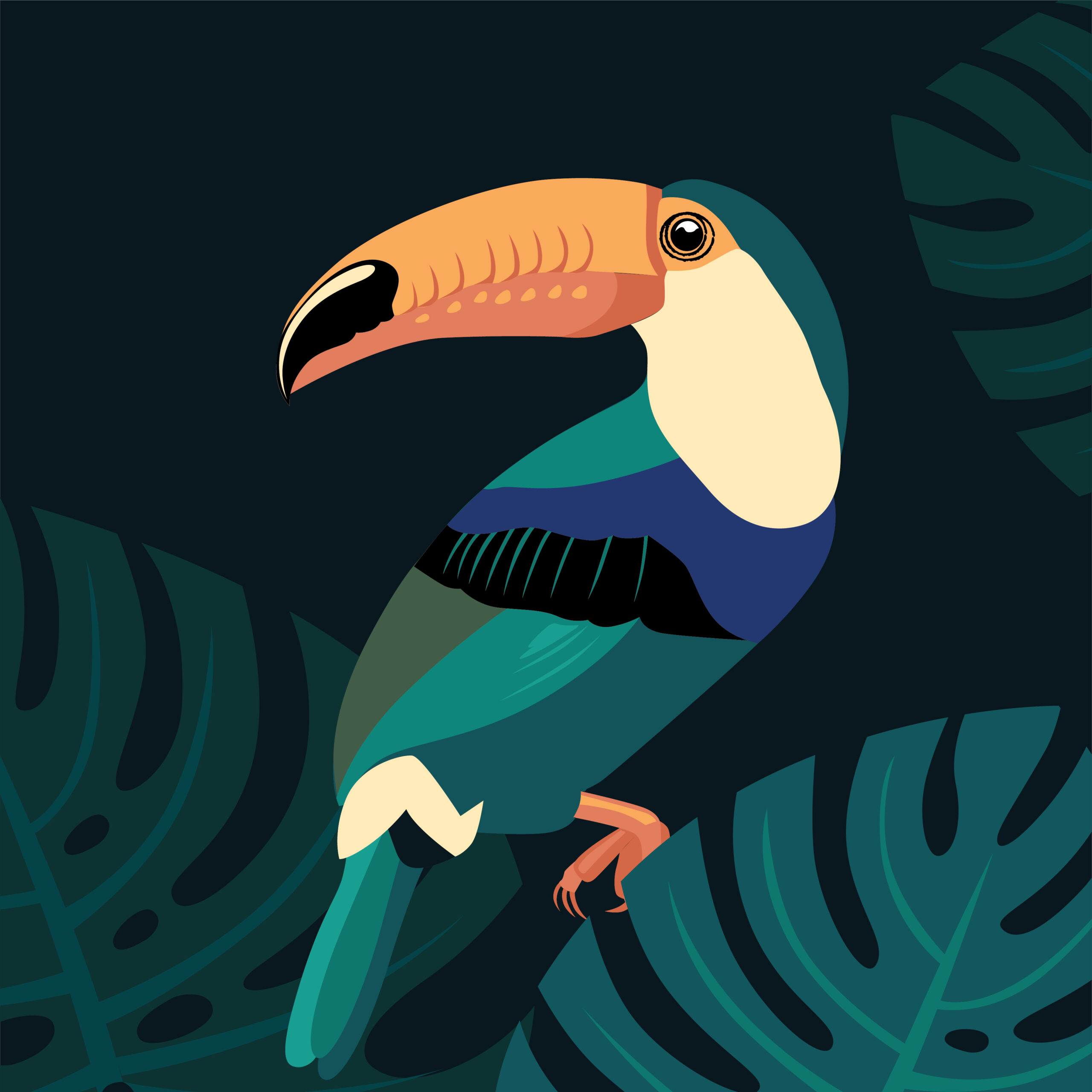 Toucan art print