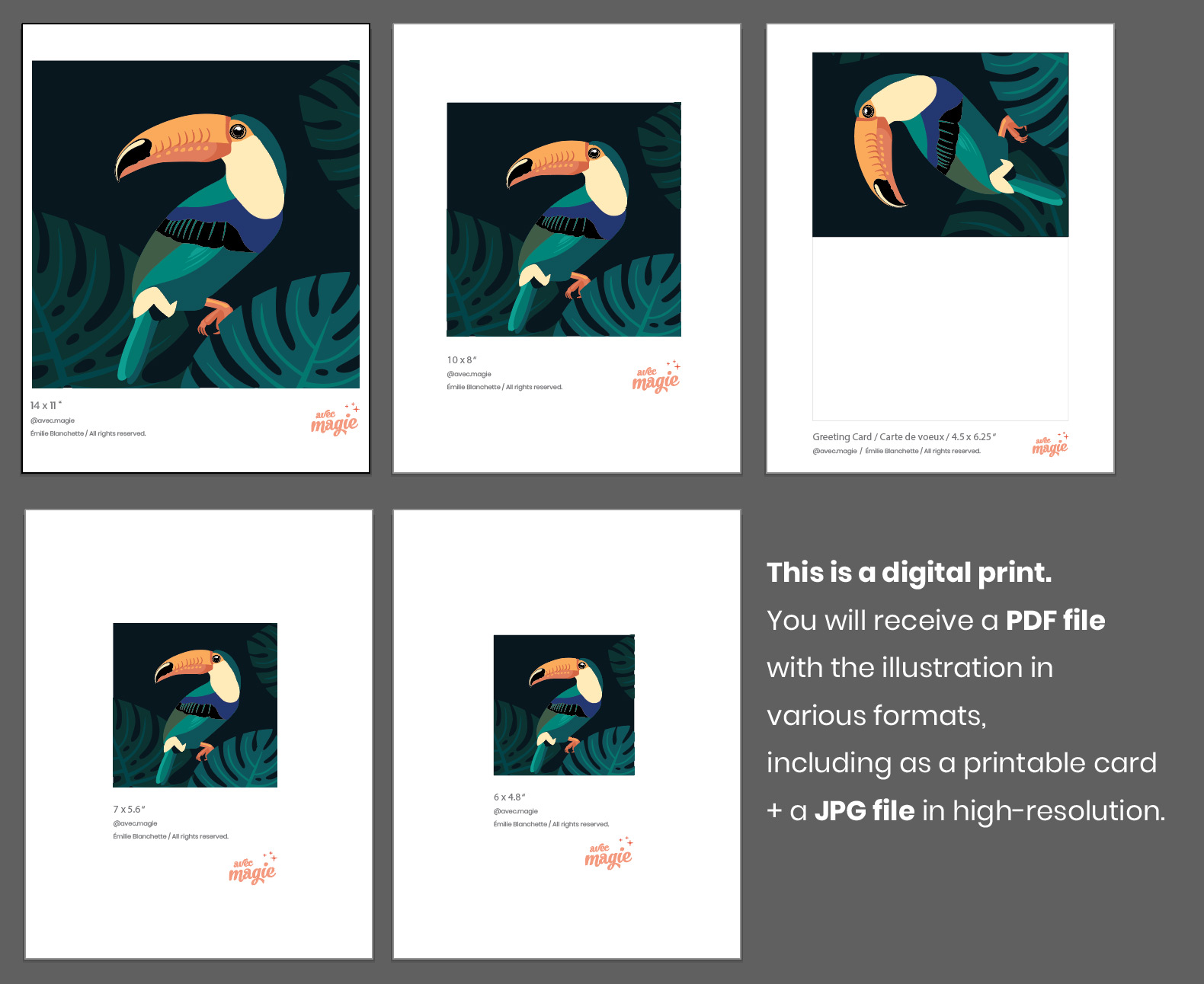 Aperçu du fichier digital pour Le Toucan